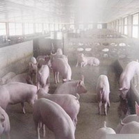 养殖场消毒降温工程 养殖场消毒降温工程